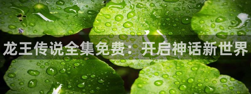 汗汗漫画免费登录页面看漫画下拉式