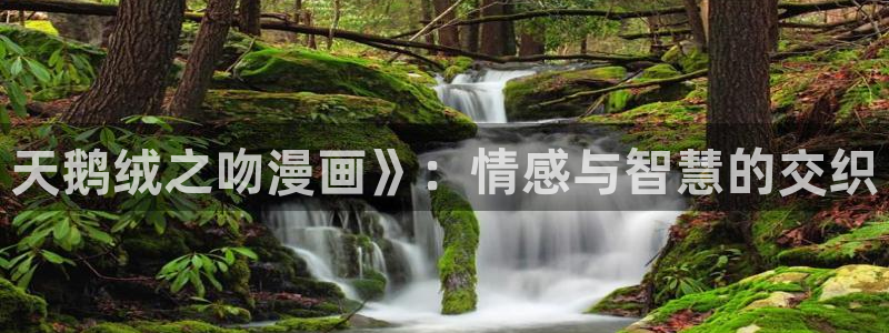 汗汗漫画网在线观看：天鹅绒之吻漫画》：情感与智慧的交织