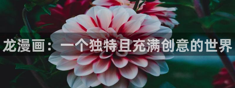 汗汗漫画日本的