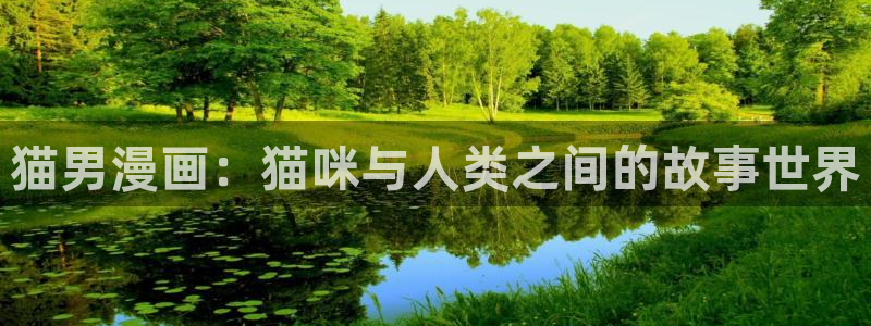 刀剑神域汗汗漫画