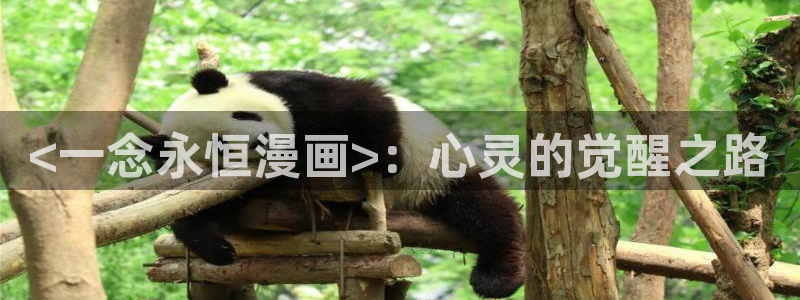 汗汗漫画在线观看免费版完整