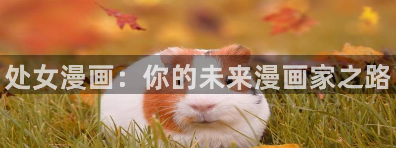汗汗漫画免费无删减：处女漫画：你的未来漫画家之路