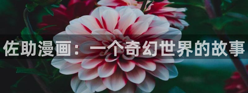 汗汗漫画首页在线：佐助漫画：一个奇幻世界的故事