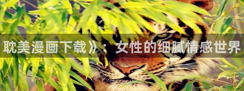 汗汗漫画ssss：耽美漫画下载》：女性的细腻情感世界